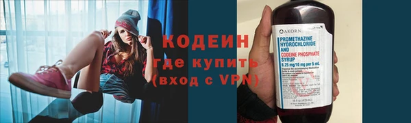 МДПВ Вяземский